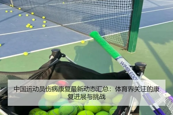 中国运动员伤病康复最新动态汇总：体育界关注的康复进展与挑战